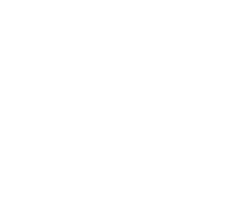 Unsafe Vehicles